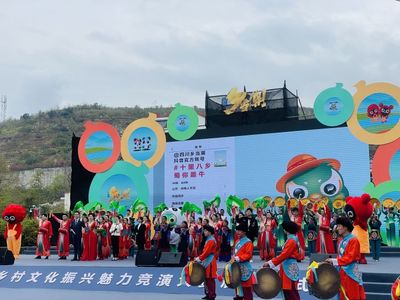 四川鄉(xiāng)村文化魅力 雅安漢源開啟互聯(lián)網文化新篇章